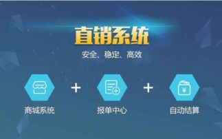 軟件批發(fā)與供應(yīng) 郵編商務(wù)網(wǎng)youbian.com的全面信息技術(shù)咨詢服務(wù)